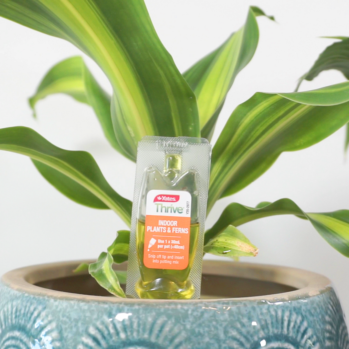 Yates 30mL Thrives Indoor Plants & Ferns Drippers - 5 Pack