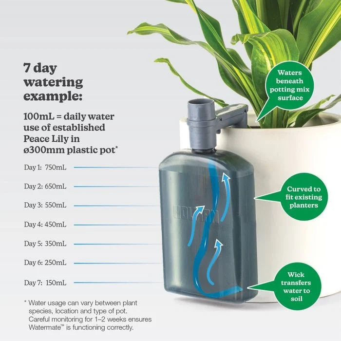 Holman Watermate Self Watering Tank