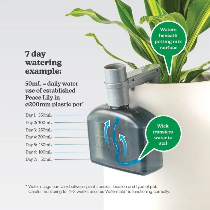 Holman Watermate Self Watering Tank