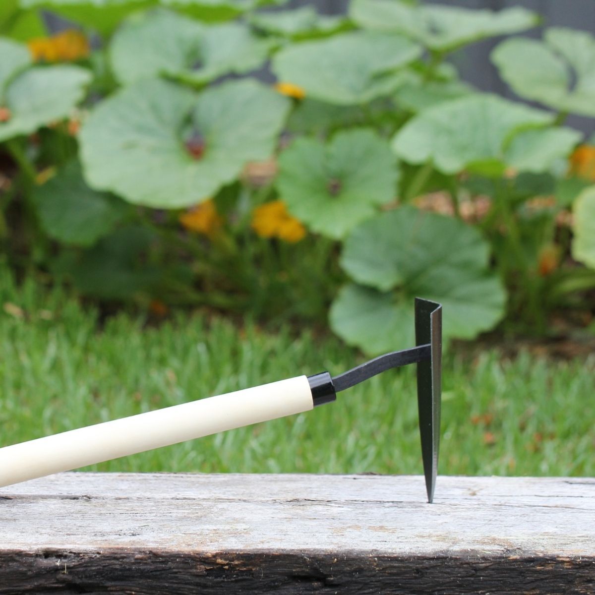 The Seed Collection - Single Handed Delta Hoe