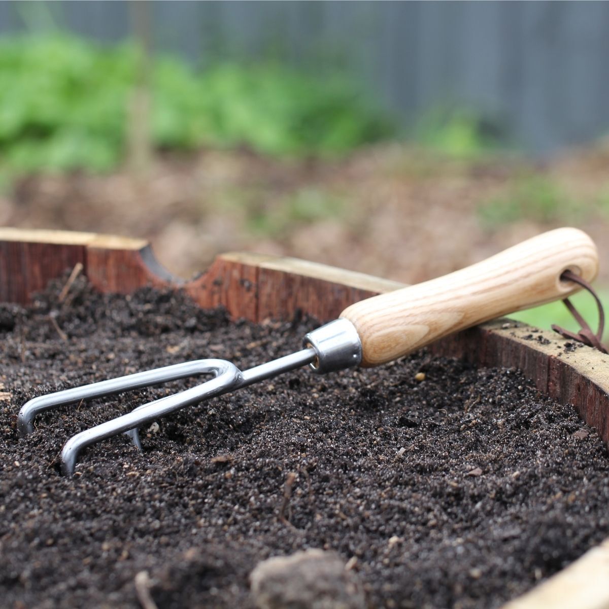 The Seed Collection - Stainless Steel Soil Cultivator