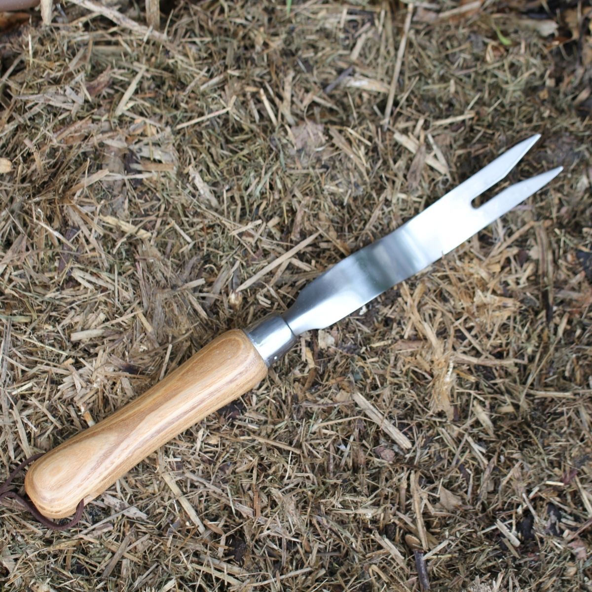 The Seed Collection - Stainless Steel Garden Weeder